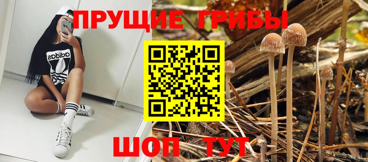 Галлюциногенные грибы прущие грибы  Вход с VPN  Назрань 