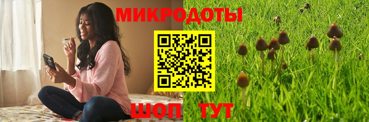 Псилоцибиновые грибы Psilocybe Назрань