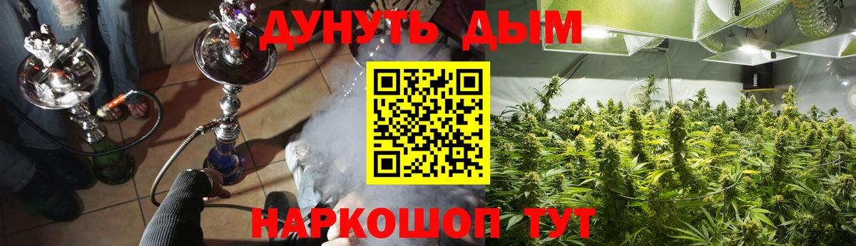 Бошки Шишки конопля Назрань